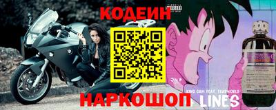 индика Будённовск