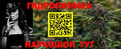 индика Будённовск