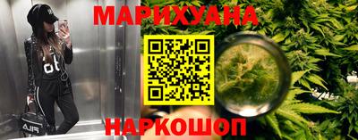 индика Будённовск